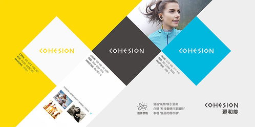 東莞企業(yè)形象設(shè)計與網(wǎng)絡(luò)技術(shù)服務(wù)的融合策略